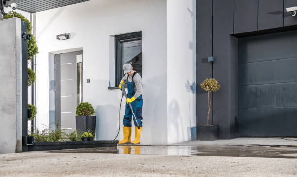 Best Sidewalk and Walkway Cleaning  in Hollymead, VA